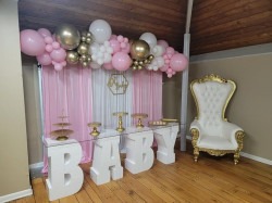 baby20shower202 1718830051 Baby Shower Package