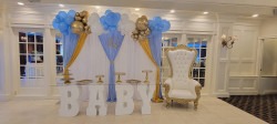 Baby Shower Package