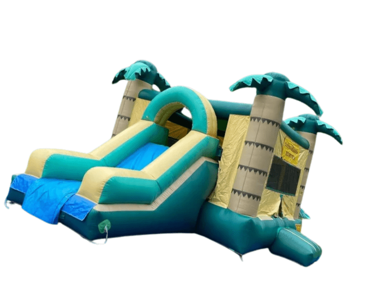 Palm Tree Combo (dry)