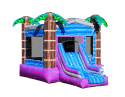 2 1744761801 Aloha Combo
