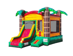 2 1744763493 Palm Paradise Combo